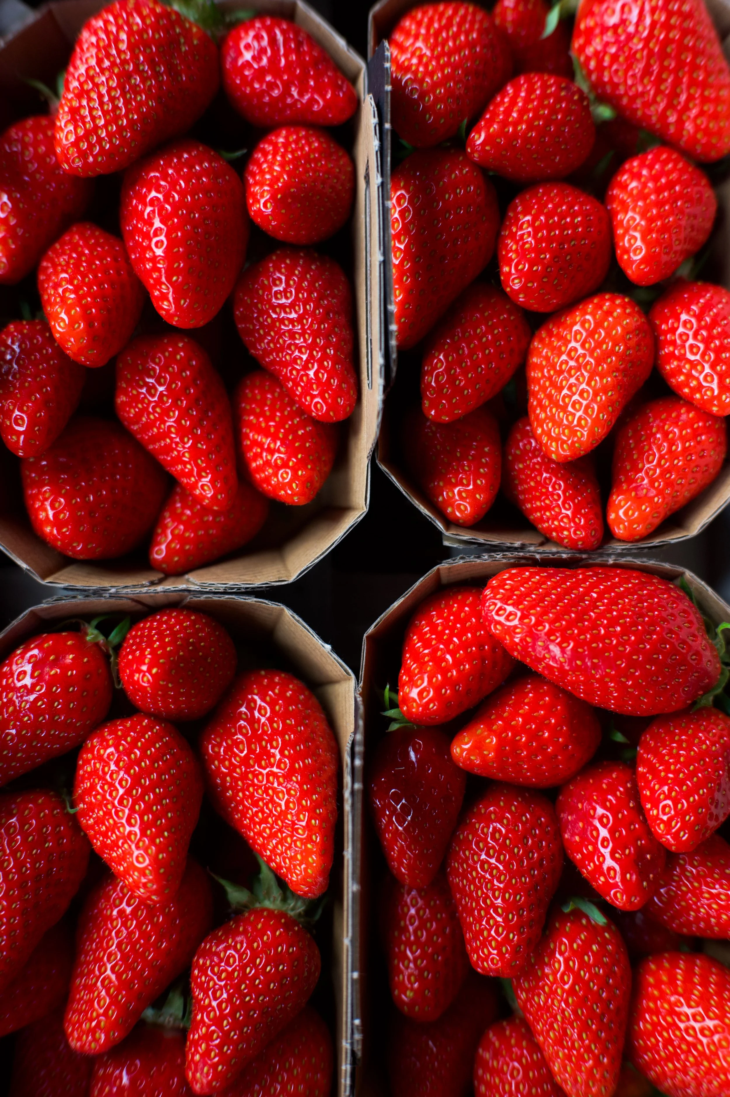 Quatre paniers de fraises rouges fraîches dans des boîtes en carton.