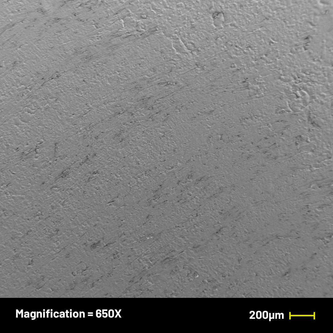 Solinatra Under the Microscope — Solinatra