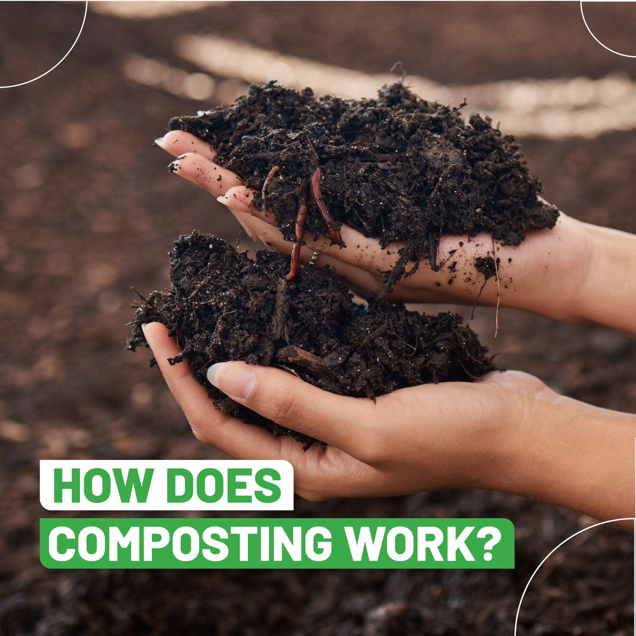 Over the past week we&rsquo;ve been celebrating International Compost Awareness Week, sharing posts about why composting is so beneficial and how you can compost at home. But do you know HOW composting actually works? 

Very simply, microorganisms, s