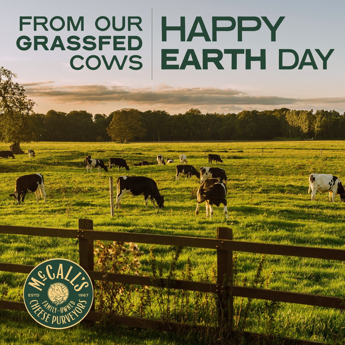 Where the grass grows green and the cows roam free&mdash;that&rsquo;s where our cheddar begins.🐄 Happy Earth Day from the fields of Ireland. 🌍
