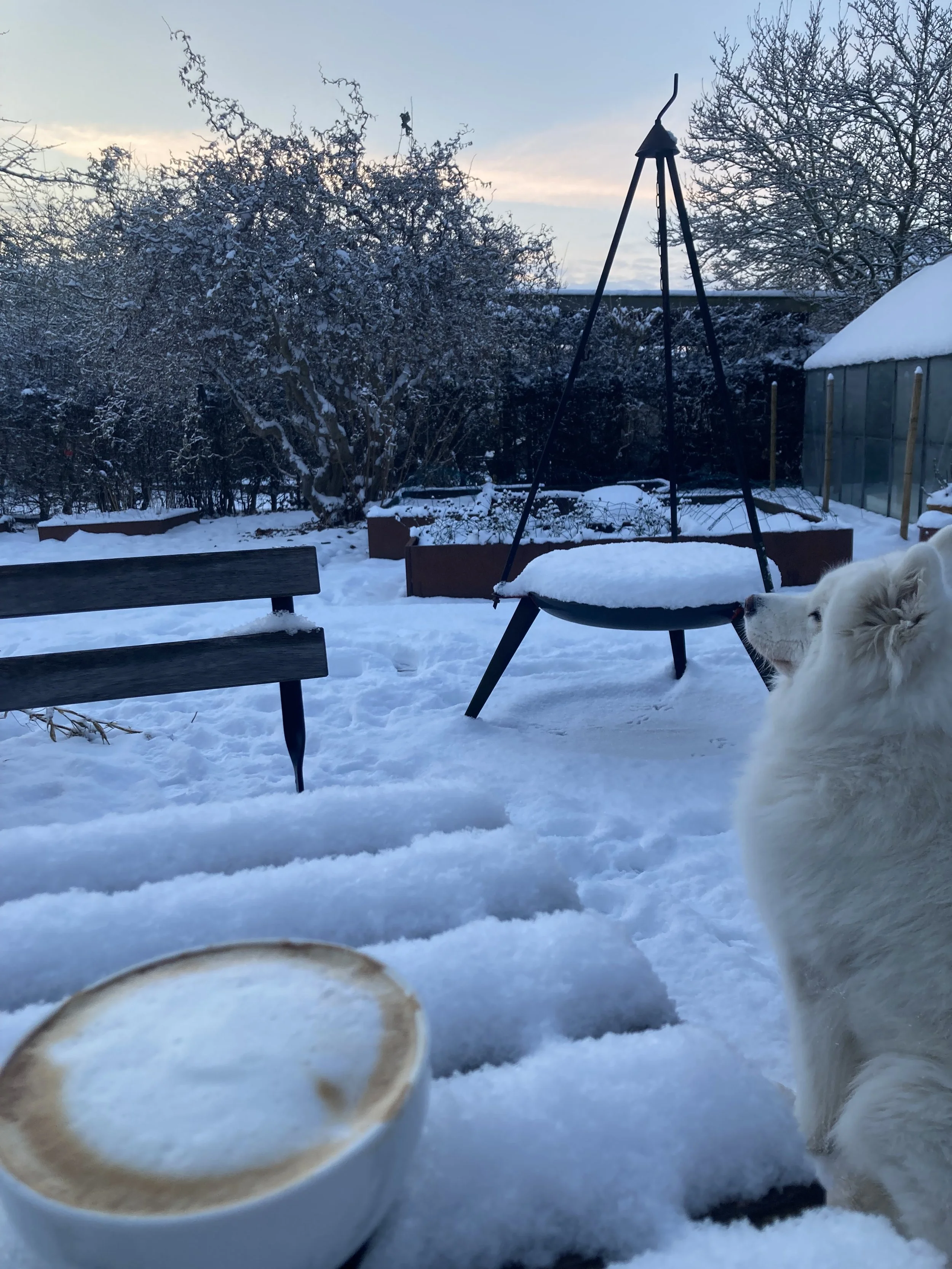 Godt nytår &amp; 3 tips til energi