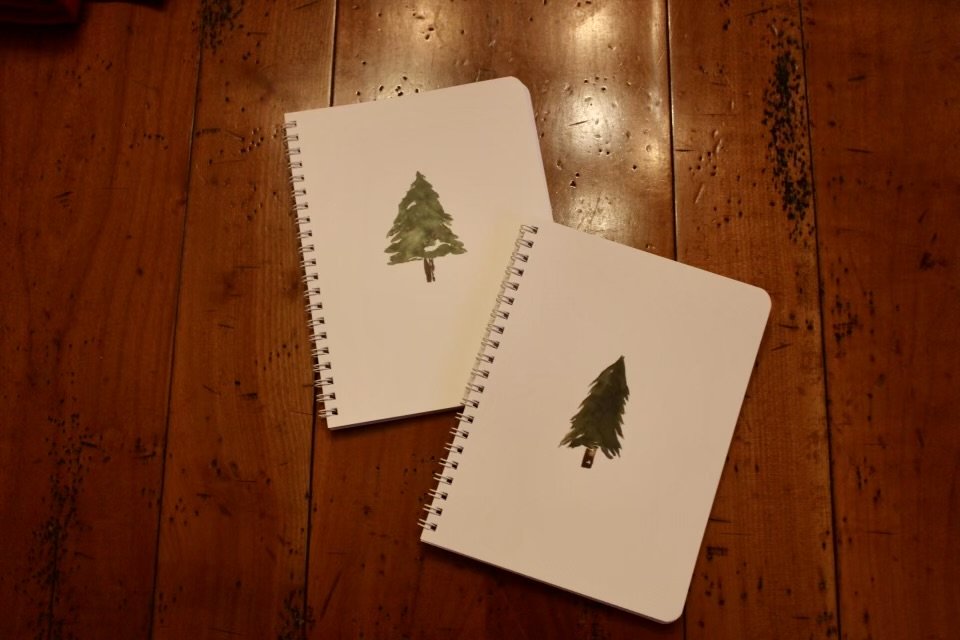 Winter Trees Notebook Set