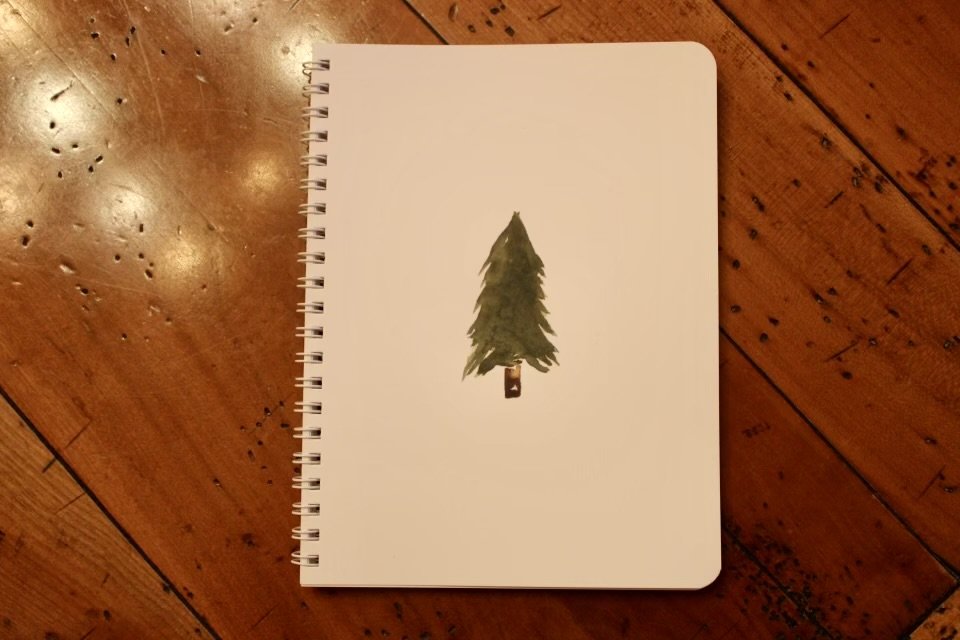 Second winter tree notebook