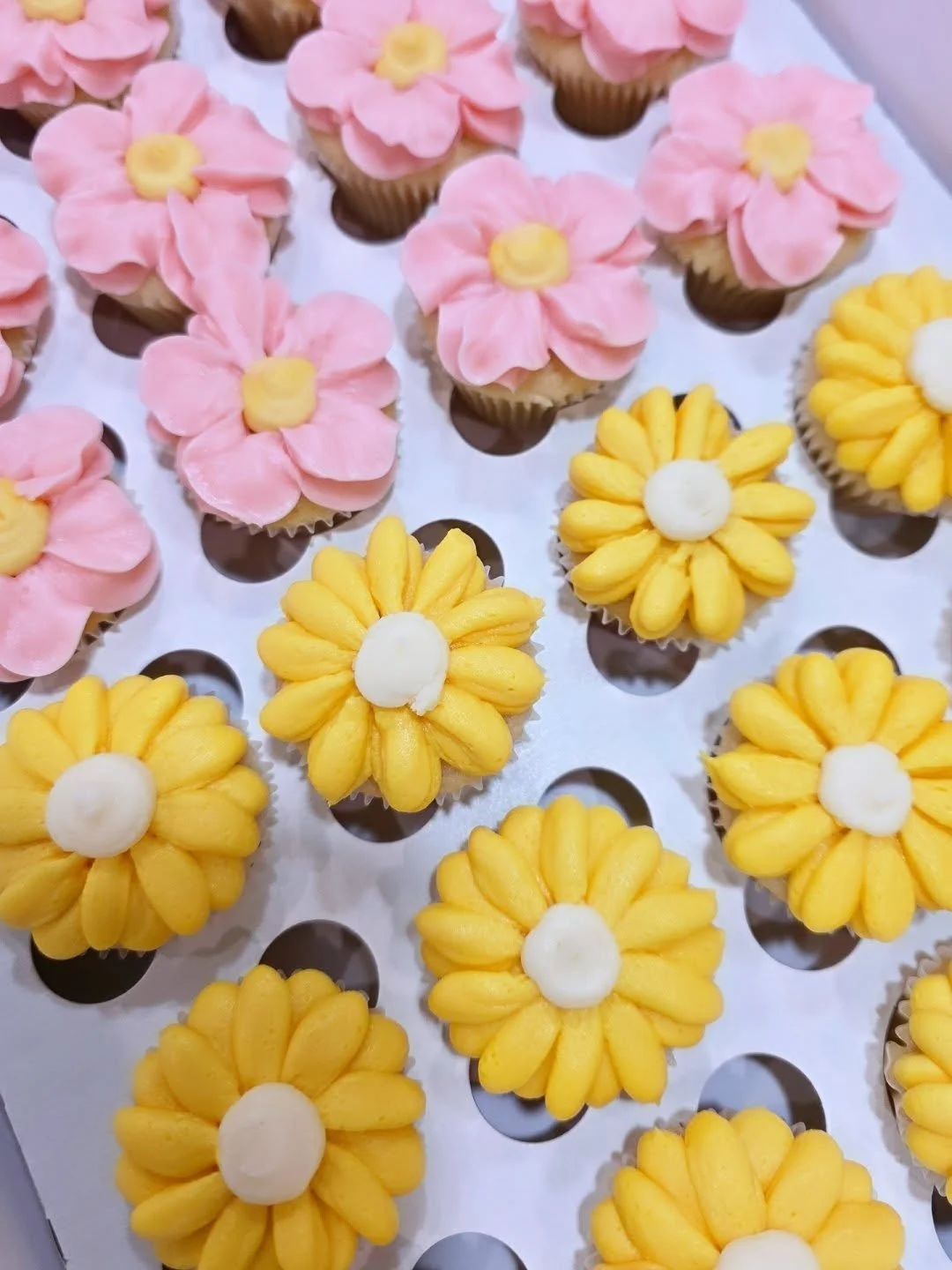 Woke up this morning and the weather made me think it was springtime for a minute 🌻
.
.
.
#minicupcakes #floralcupcakes #flowercupcakes #cupcakesofinstagram #2025cake #cake #cakedecorating #cakesofinstagram #cakestagram #buttercream #buttercreamcake