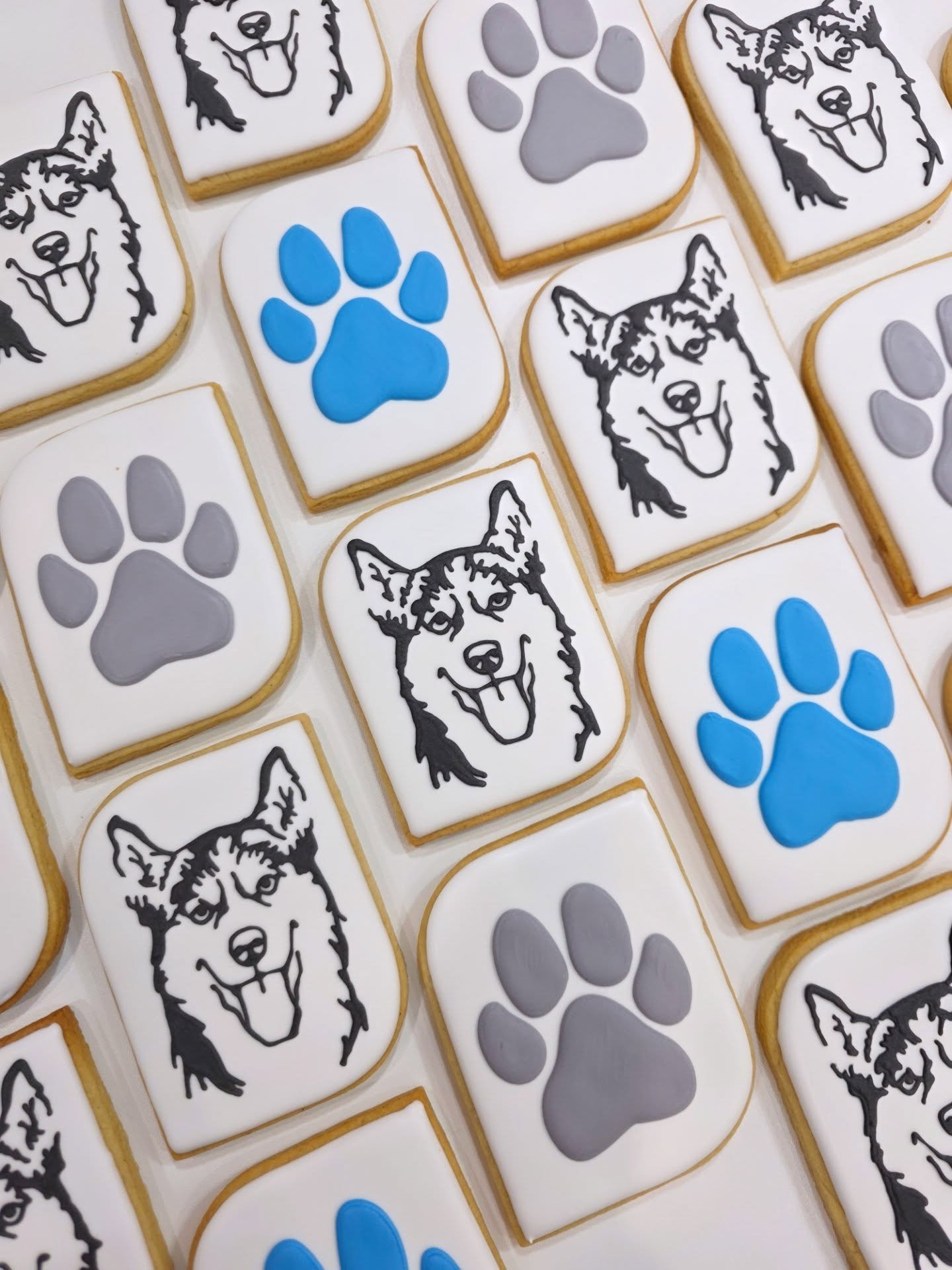 Huskies for the great @snowyowlsleddogtours 🐺
.
.
.
#huskycookies #dogcookies #yyccookies #cochranecookies #canmorecookies
