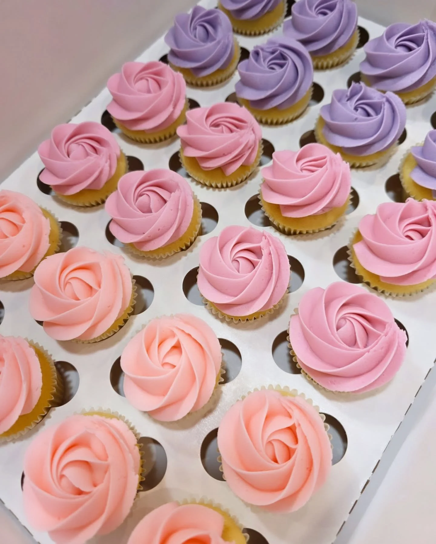 Love a trio 💕 
.
.
.
#minicupcakes #ombrecupcakes #cochranecupcakes #yyccupcakes #cochranelocal