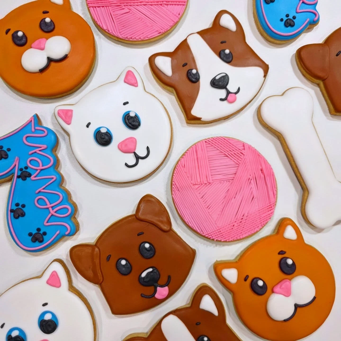 Cats and dogs for a Humane Society birthday party. Literally my dream 🐕🐈&zwj;⬛
.
.
.
#catcookies #dogcookies #birthdaycookies #yyccookies #cochranecookies