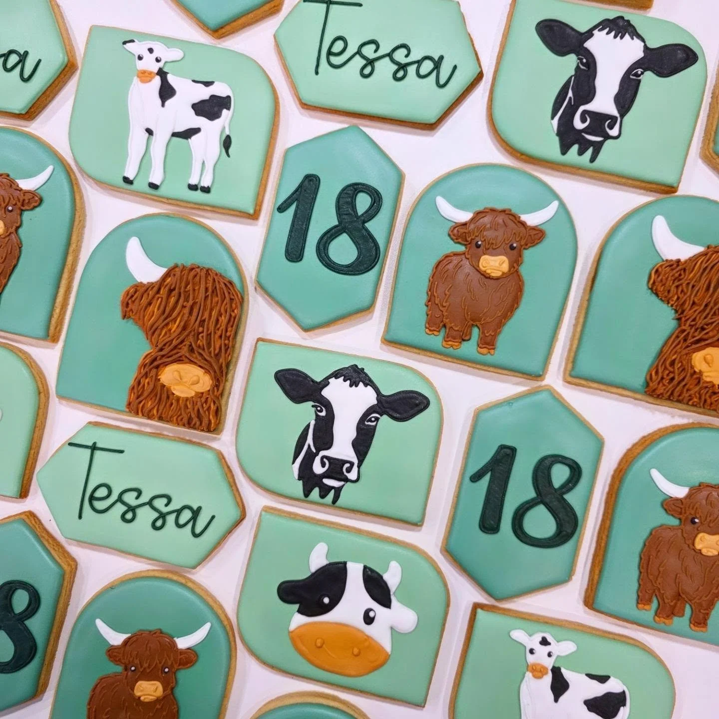 Cows for this 18th birthday 🐄🐮
.
.
.
#cowcookies #birthdaycookies #yyccookies #cochranecookies #cowbirthday