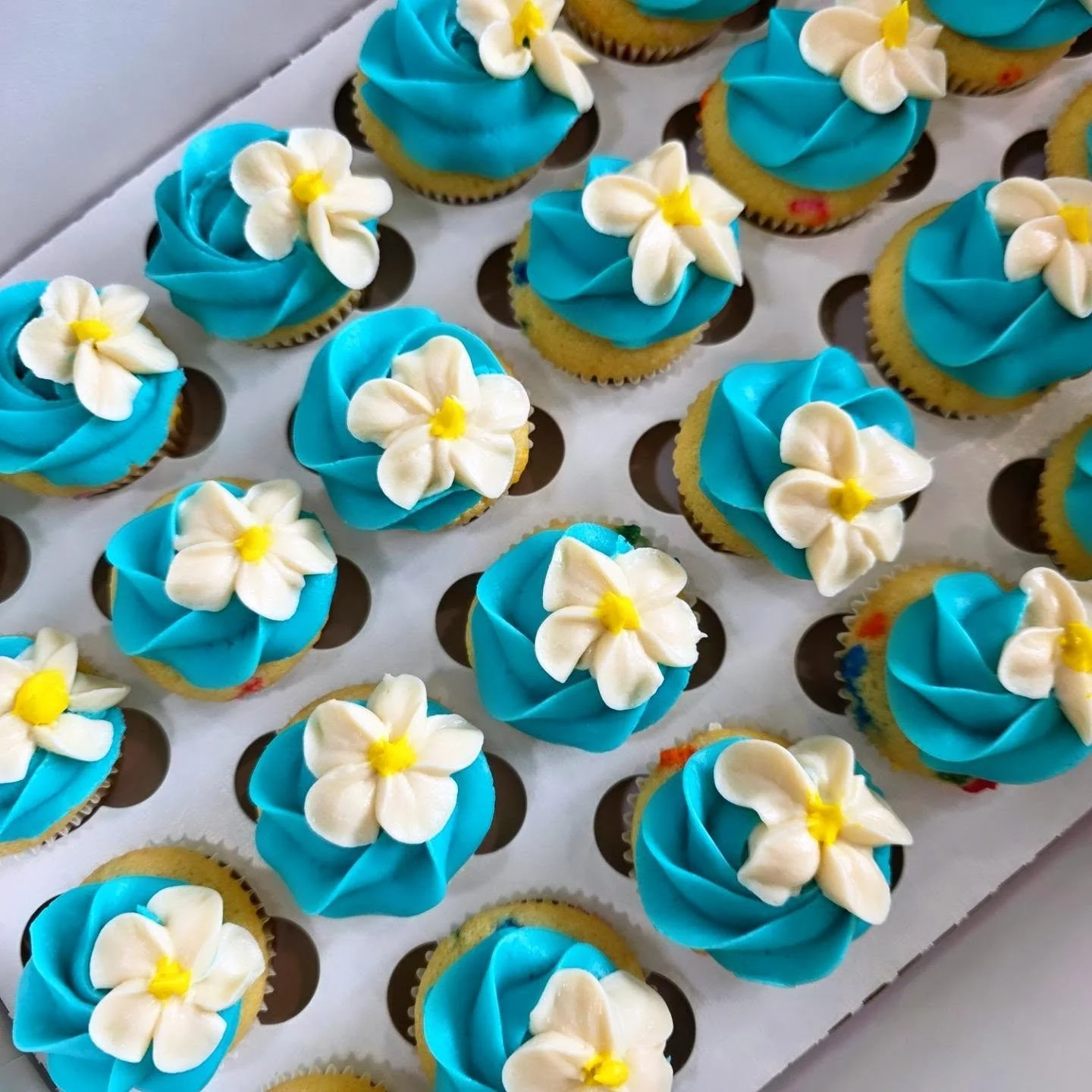 Moana inspired flower mini cupcakes 🧁 🌸
.
.
.
#minicupcakes #flowercupcakes #yyccupcakes #cochranecupcakes