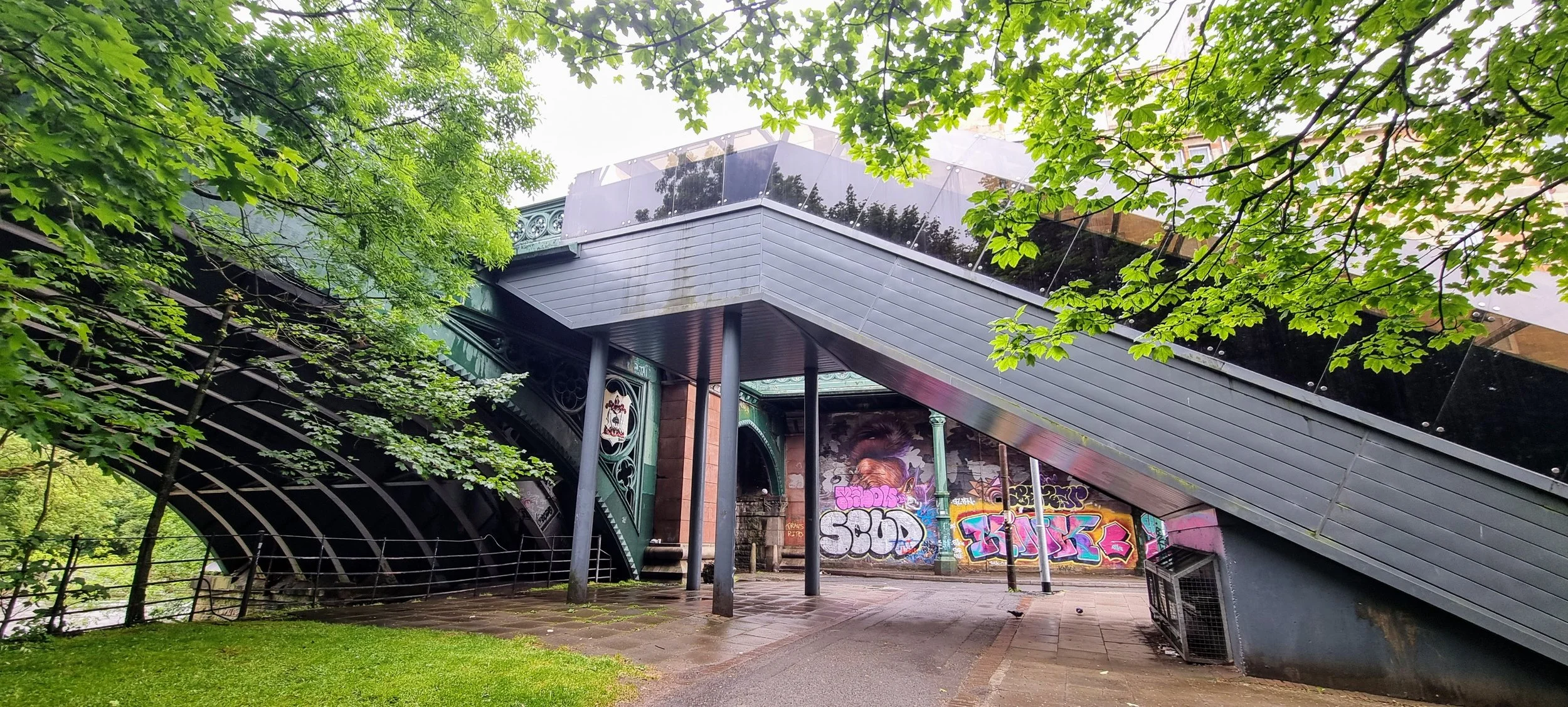 20250529_115056.jpg