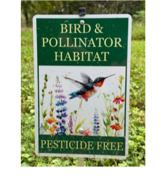 Ordinances Against Natural Lawns?