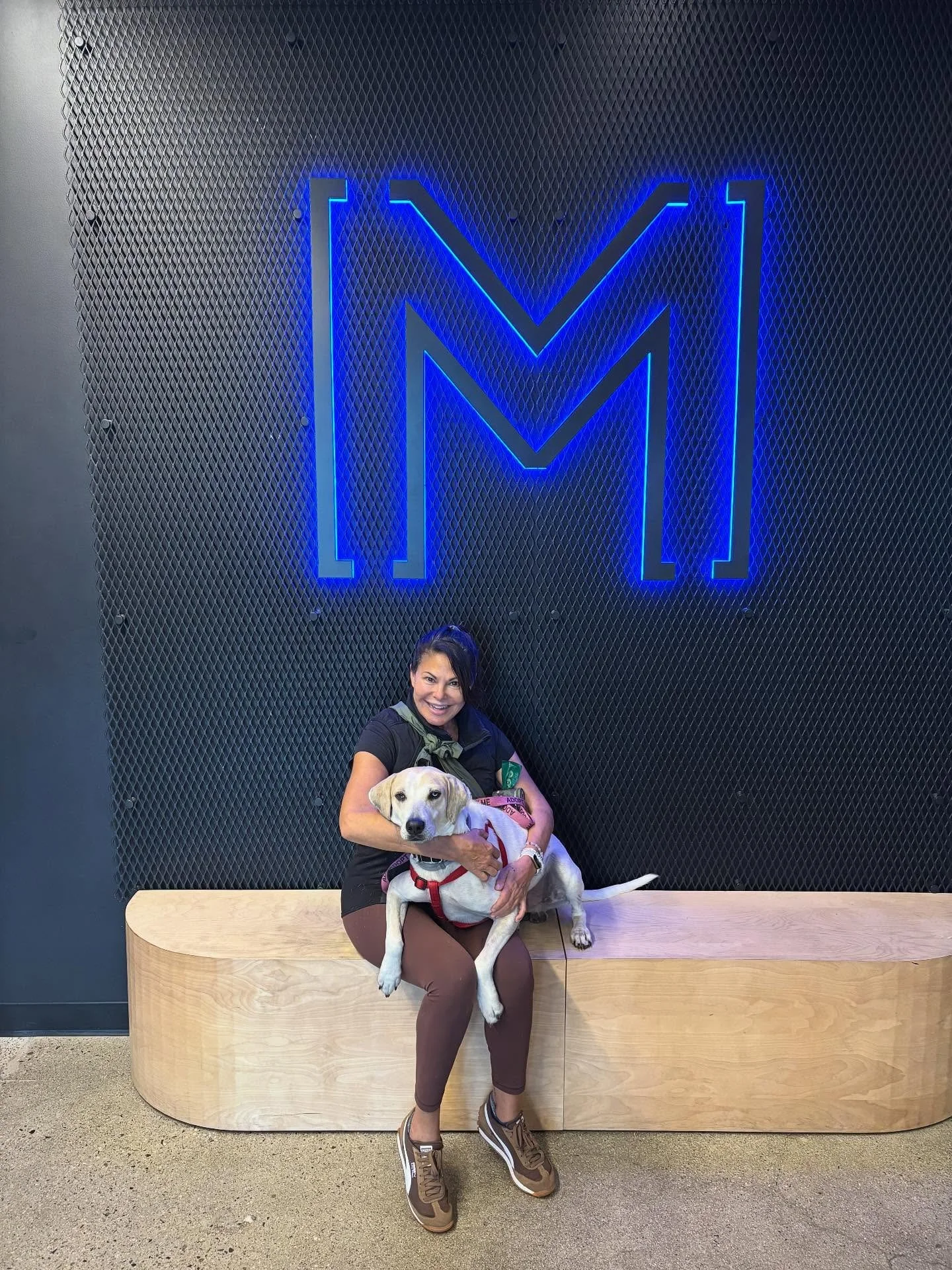 MYSTRYDE fam, we need your help! Our front desk team member Elyse is fostering a dog and we need to find him a home. Details below, email info@mystryde.com for more info and comment with anyone you think would be interested!

Name: Mac
Breed: Hound M