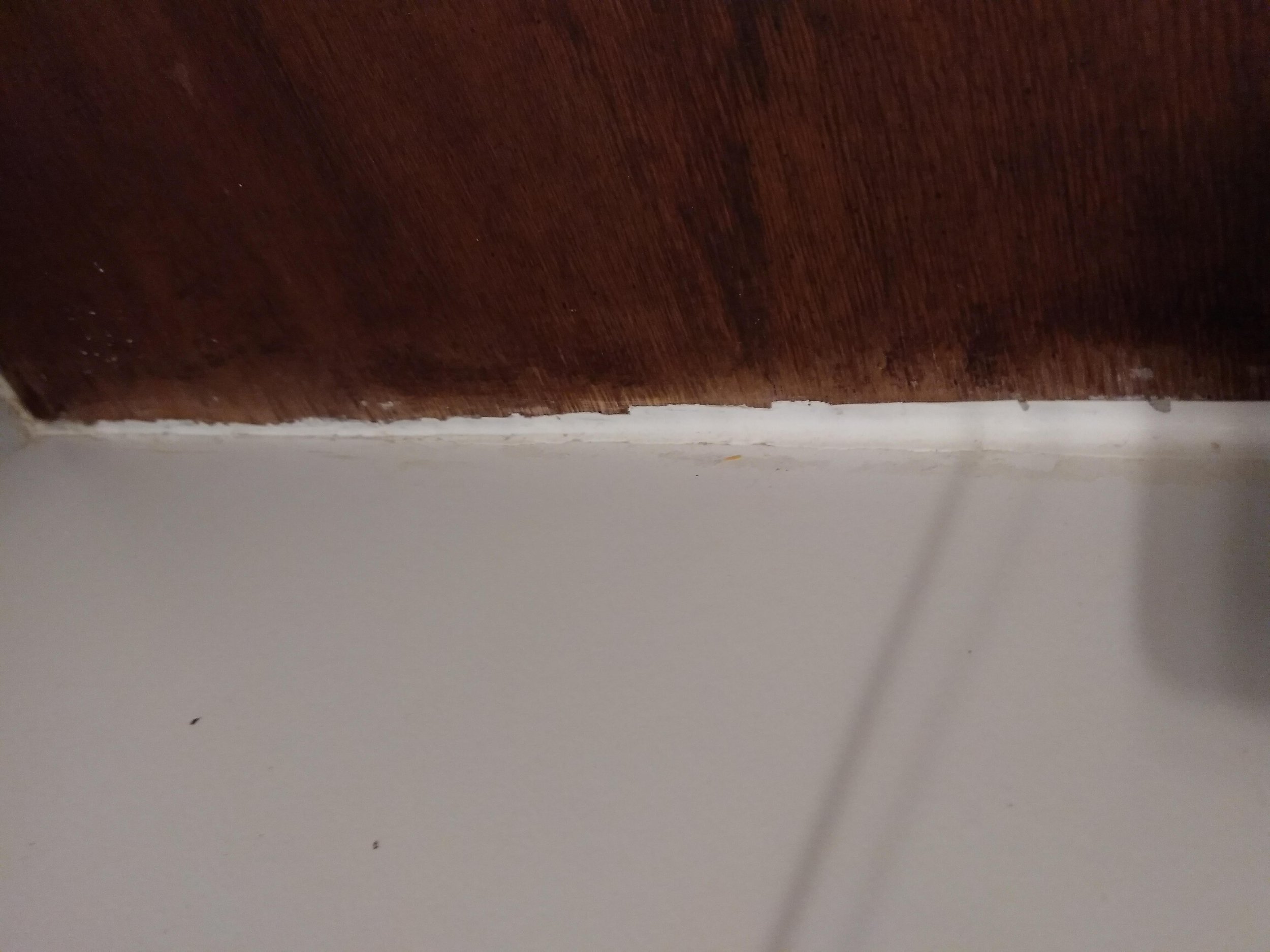 IMG_20180814_125459.jpg