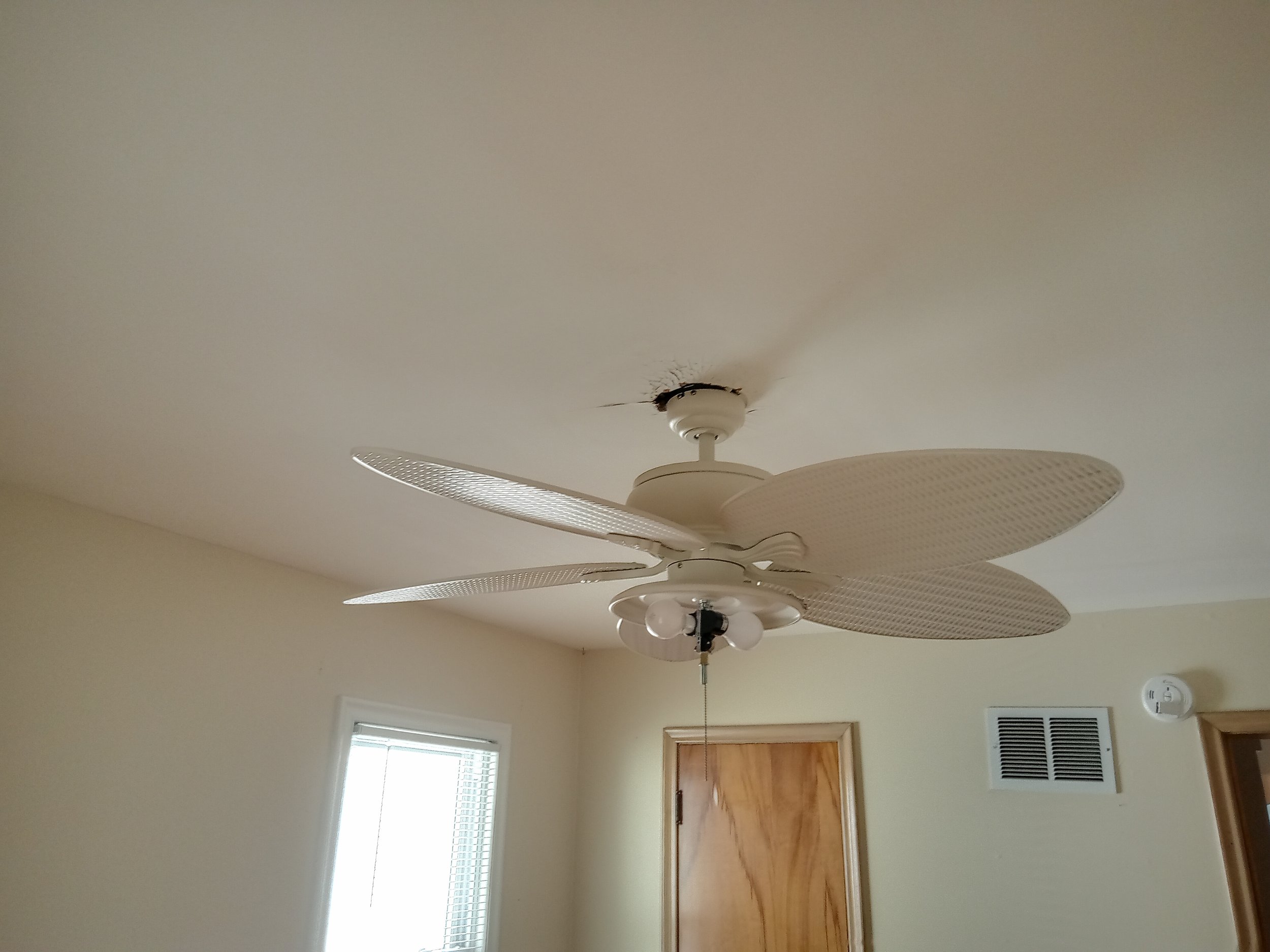 IMG_20220807_114233.jpg