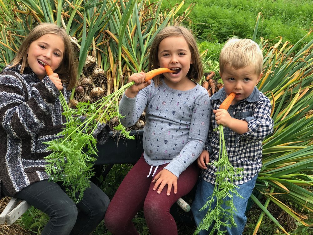 Kids and carrots.JPG