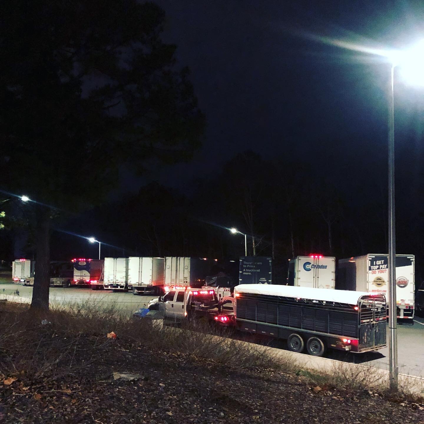 Shiftin&rsquo; gears and haulin&rsquo; steers!👊🏻 
On the road and headed to the processor with a group of steers ready to harvest for J4 Beef.🥩

#j4cattlecompany #ncfarm #dryagedbeef #eatlocal #828isgreat #usbeef #gottobenc #ontheroadagain