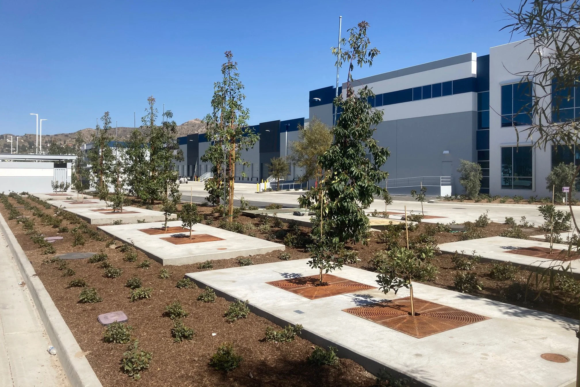 Tree lined Avion.jpeg