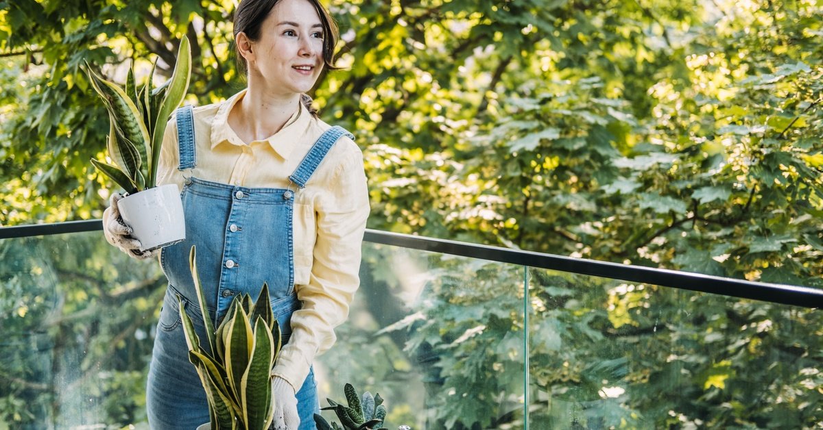 Why You Should Create a Garden Focused Toward Mindfulness