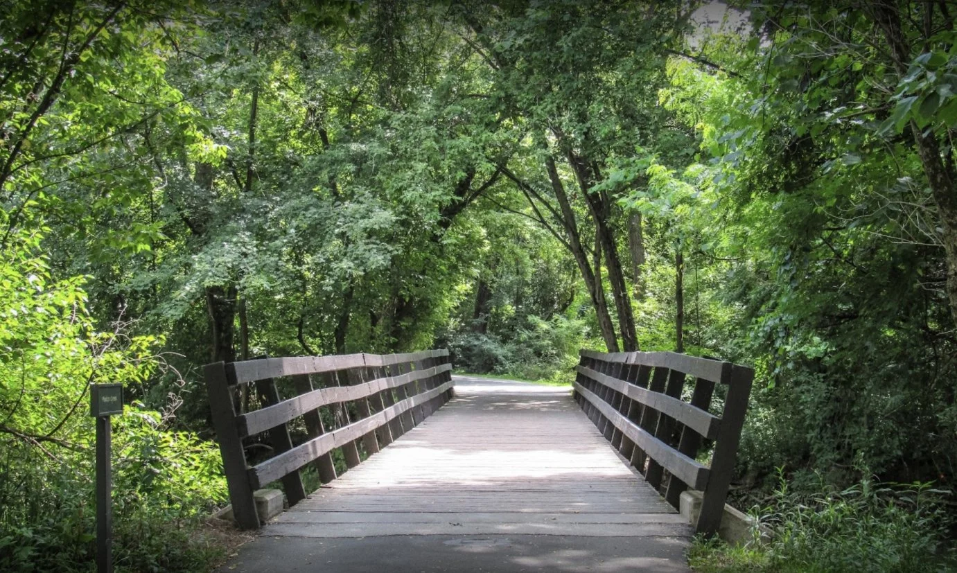 A wooden bridge spans a path through a lush wooded area, surrounded by trees and greenery.