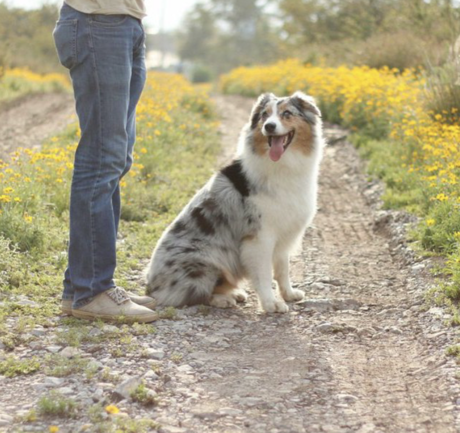 Captura de pantalla 2025-02-14 a la(s) 2.58.01 a.m..png