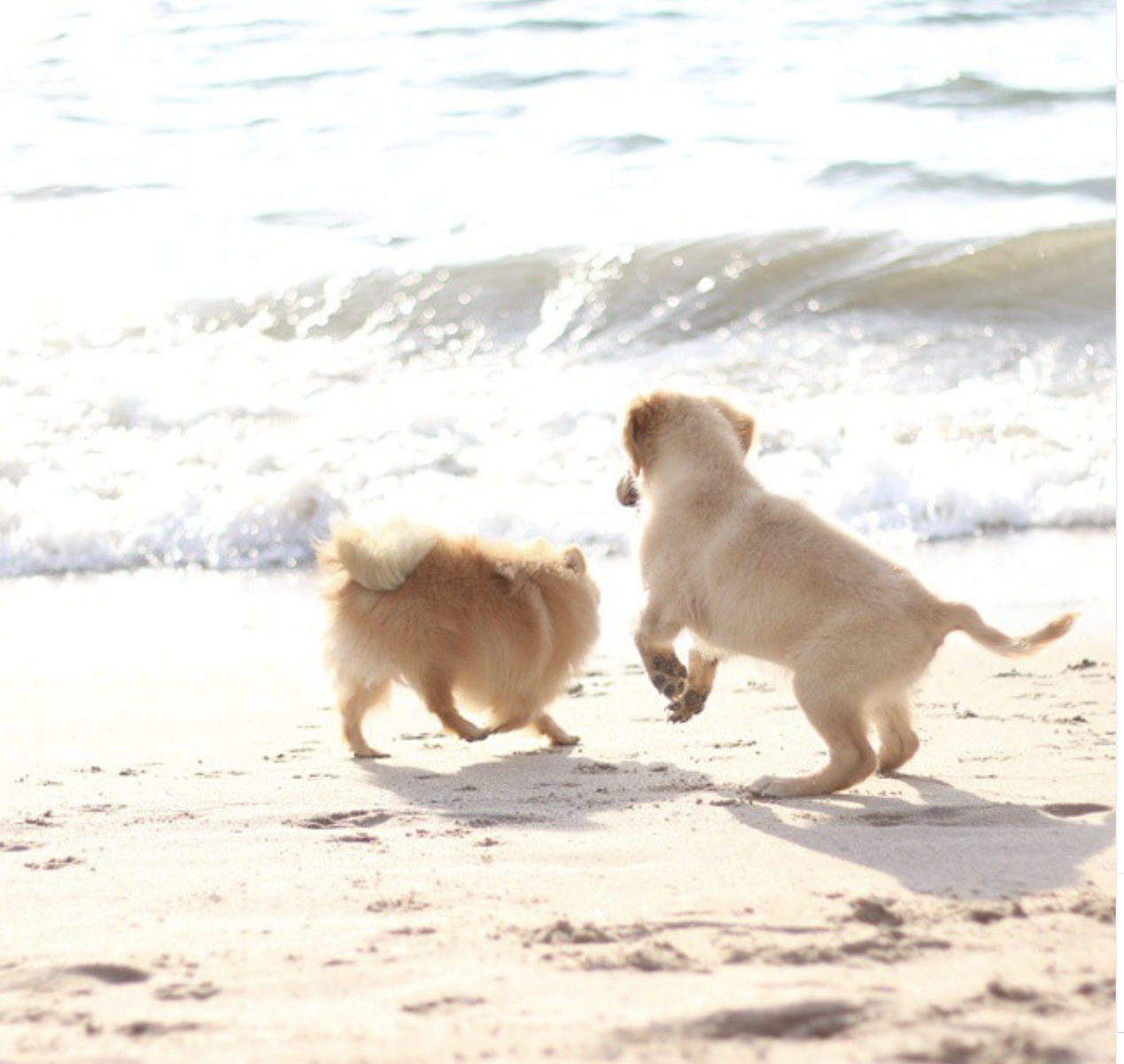 Captura de pantalla 2025-02-14 a la(s) 1.35.13 a.m..png