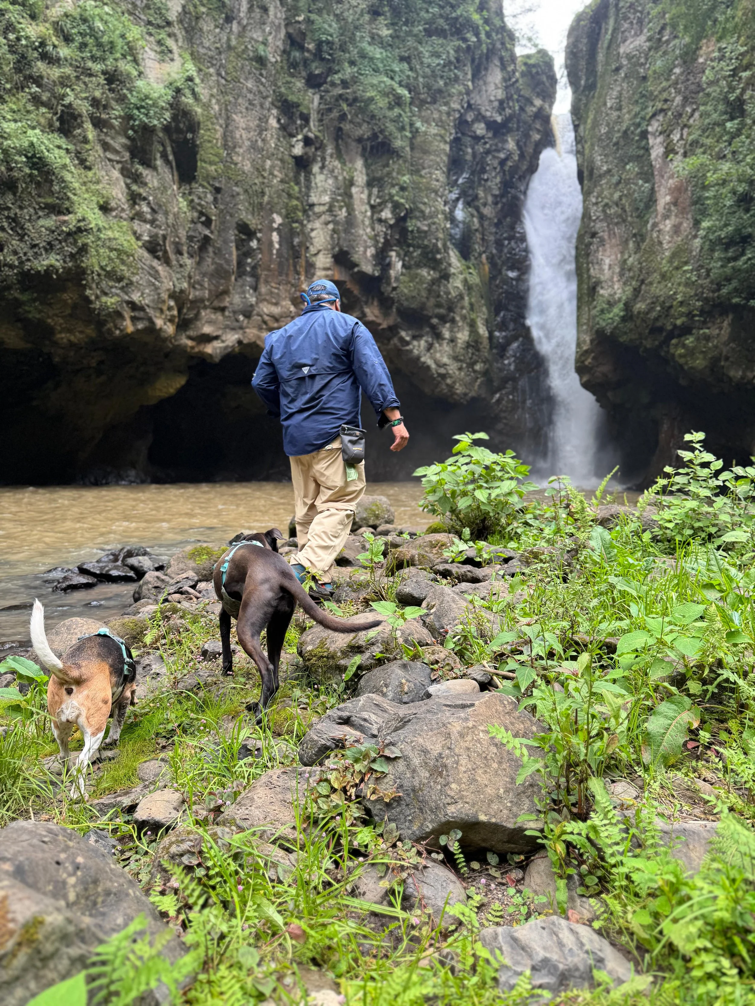 Copia de WhatsApp Image 2025-07-07 at 12.09.30 PM.jpeg