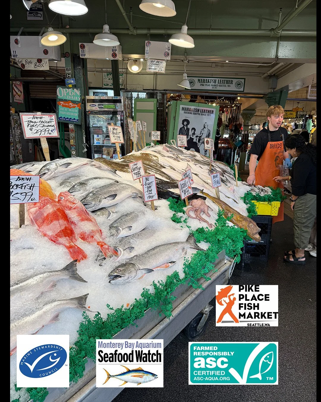 The Ocean on Your Plate: Why Sustainable Seafood Matters — and How to Choose It