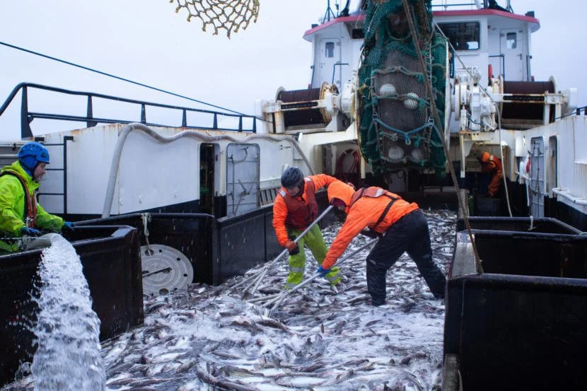 After 20 years, the high seas finally have legal protection