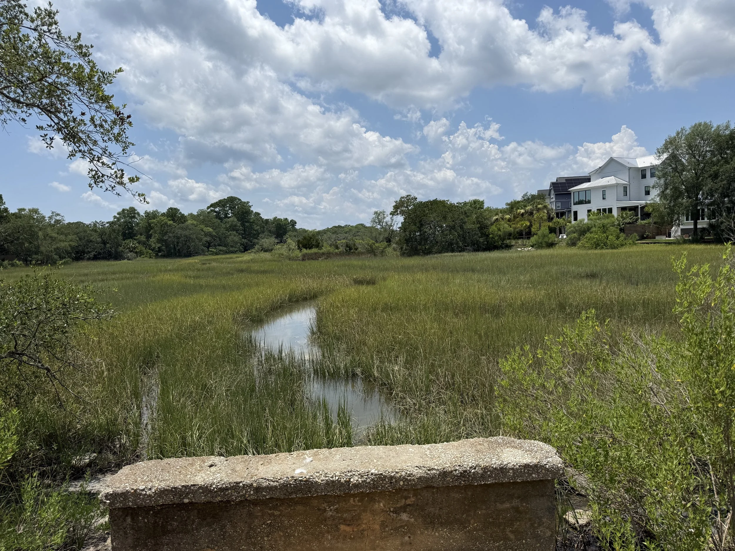 Teaching Through the Marsh