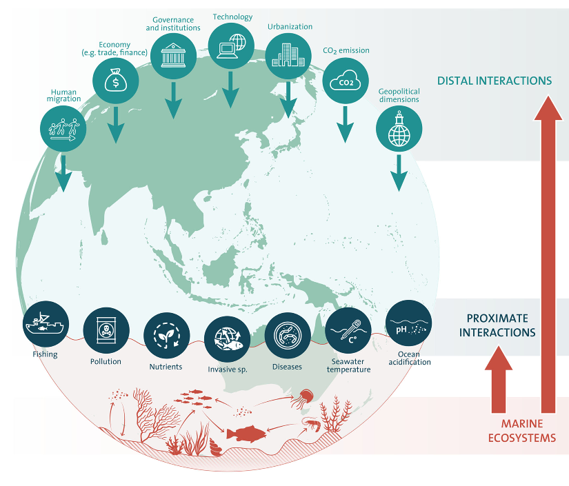 A diagram of human impacts and climate change effects on the Earth, showing distant interactions like economy, governance, technology, urbanization, and CO2 emission at the top, expanding outward. Closer to the ocean and marine ecosystems, it depicts fishing, pollution, nutrients, invasive species, diseases, seawater temperature, ocean acidification, and their effects on marine life, with correspondingly increasing impacts shown with upward arrows.