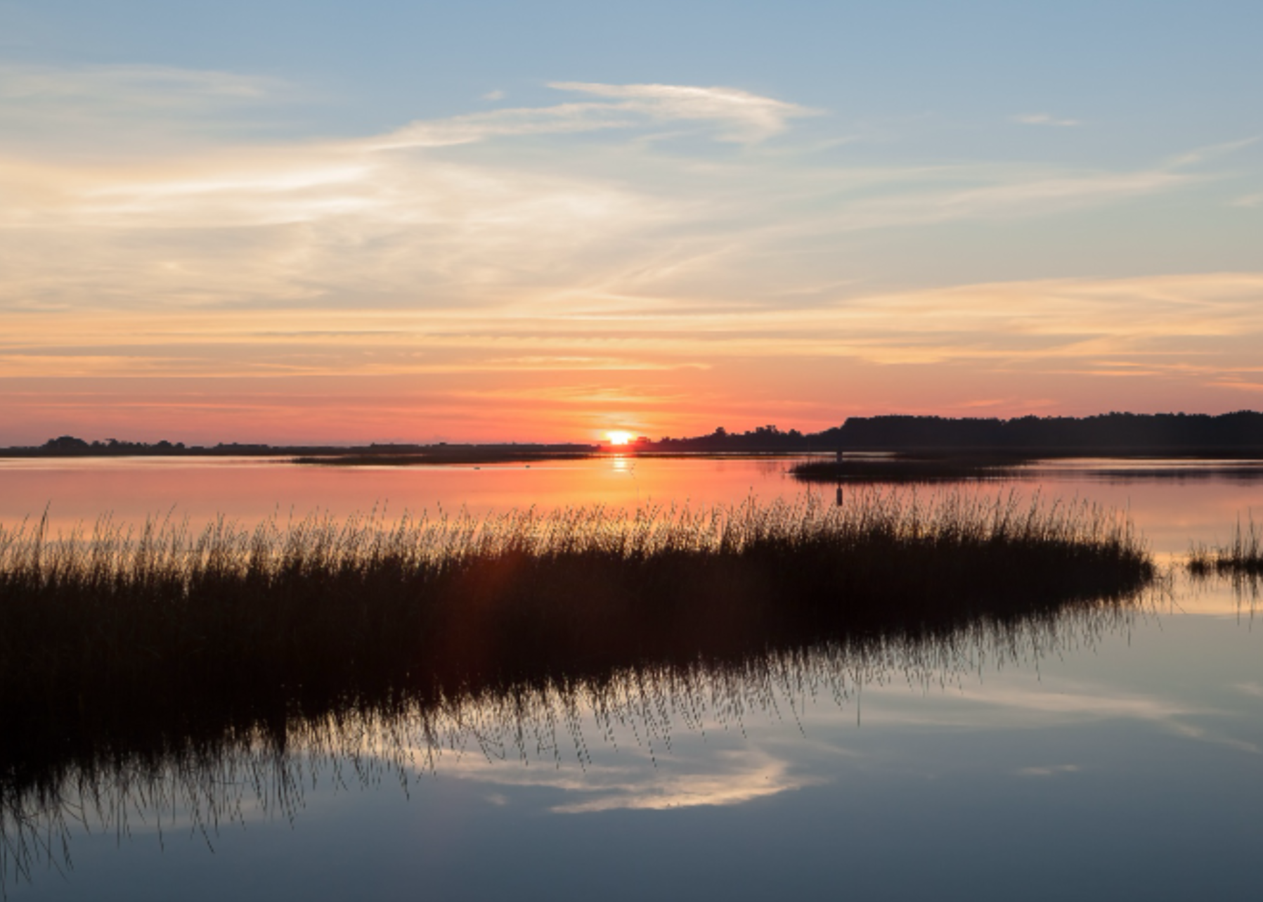 Sunset over a calm body of water with tall grasses in the foreground and a partly cloudy sky.