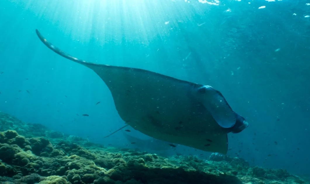 See the Sea with your own eyes</span>