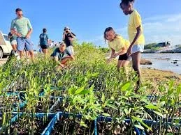 Children planting seedlings in a green nursery near a beach on a sunny day.