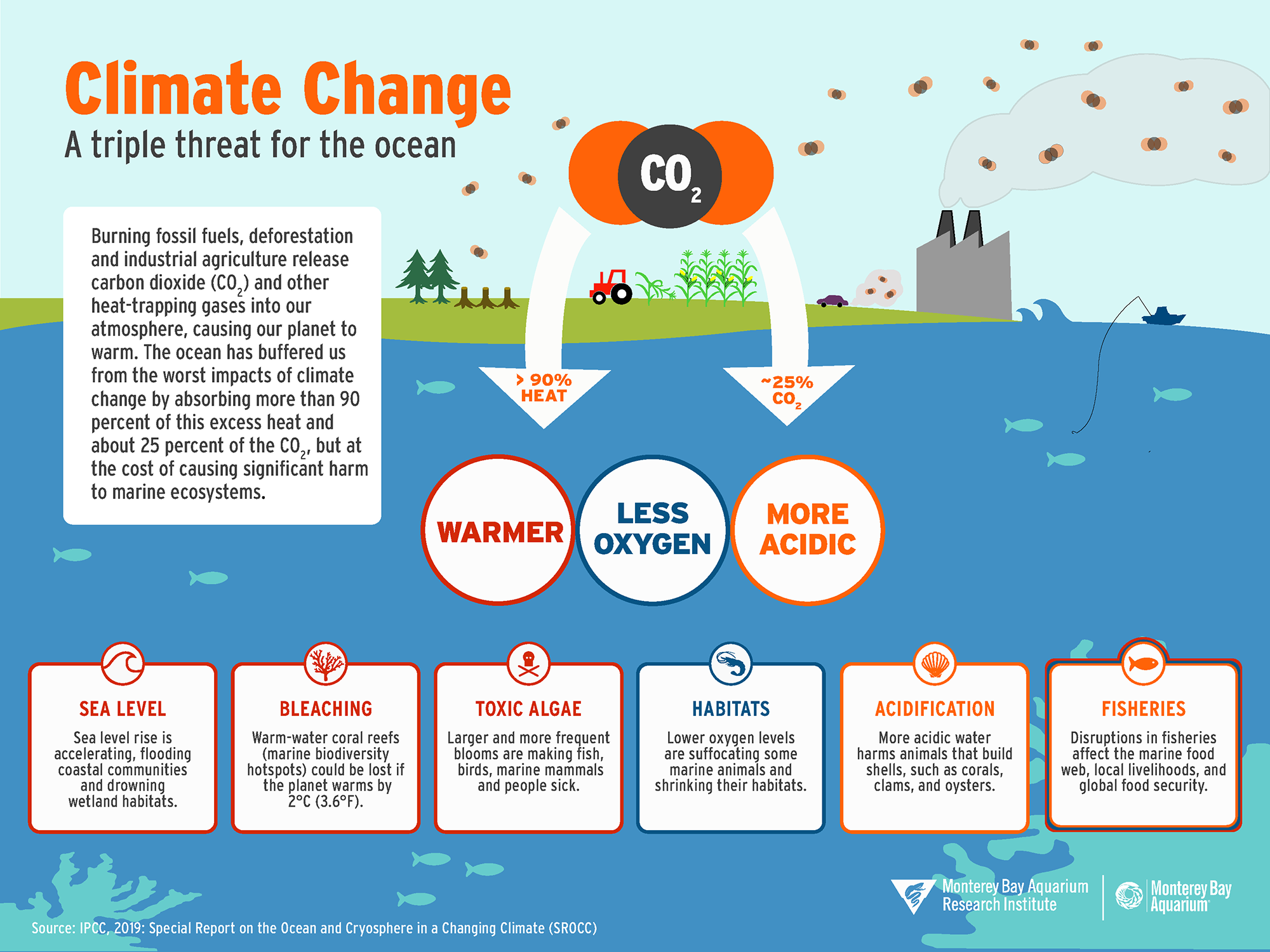 An infographic on climate change highlighting that burning fossil fuels, deforestation, and industrial agriculture release CO2 and heat-trapping gases, warming the planet. It shows that excess heat is absorbed by oceans, making them more acidic and reducing oxygen, harming marine habitats, and affecting fisheries. Key issues include sea level rise, bleaching of coral reefs, toxic algae blooms, habitat loss, ocean acidification, and disruptions to the marine food web.