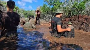 Three people standing and one sitting in a shallow stream surrounded by trees and rocks.