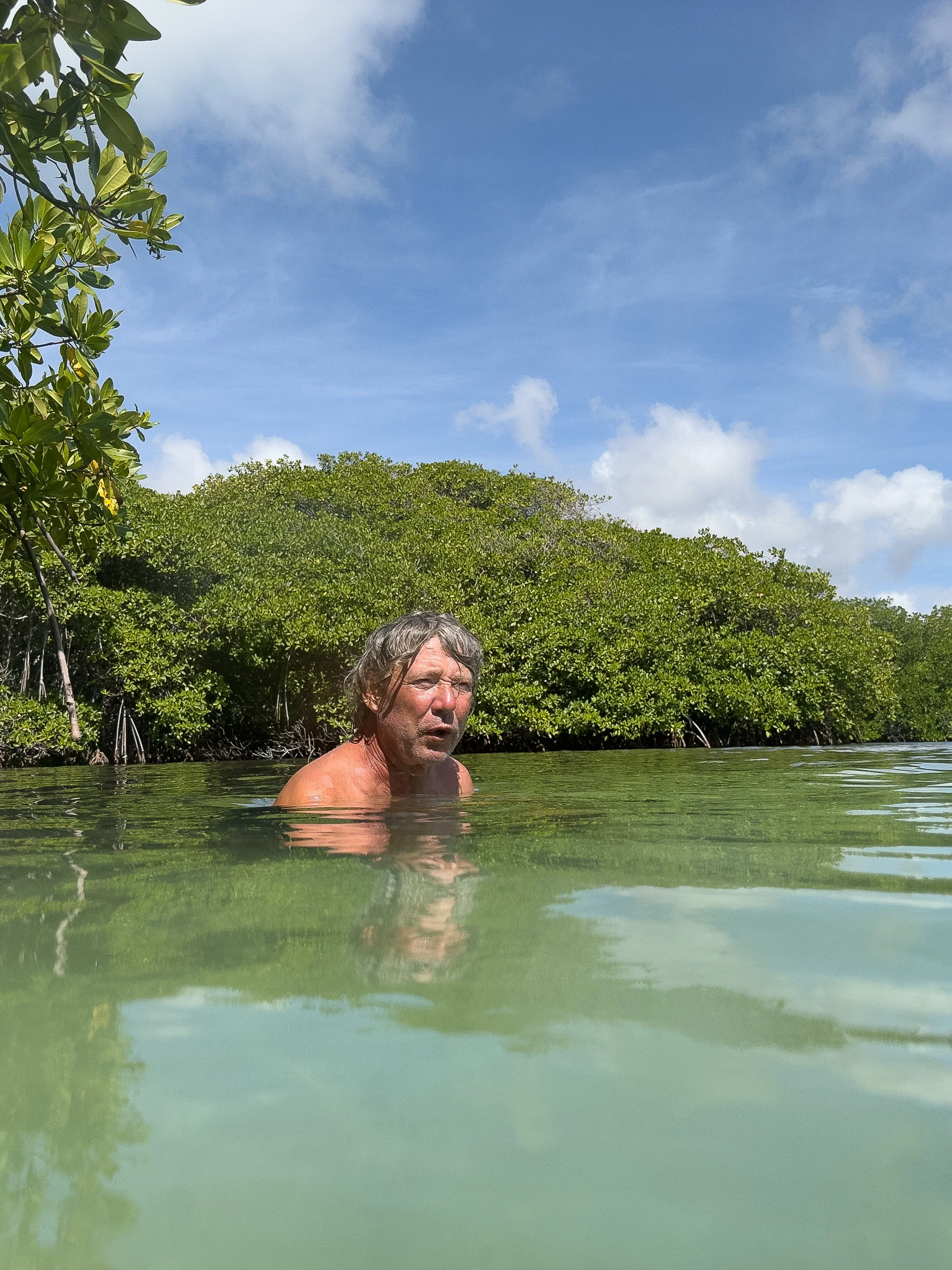 A man with medium-length hair in water near green mangrove trees under a blue sky with clouds.