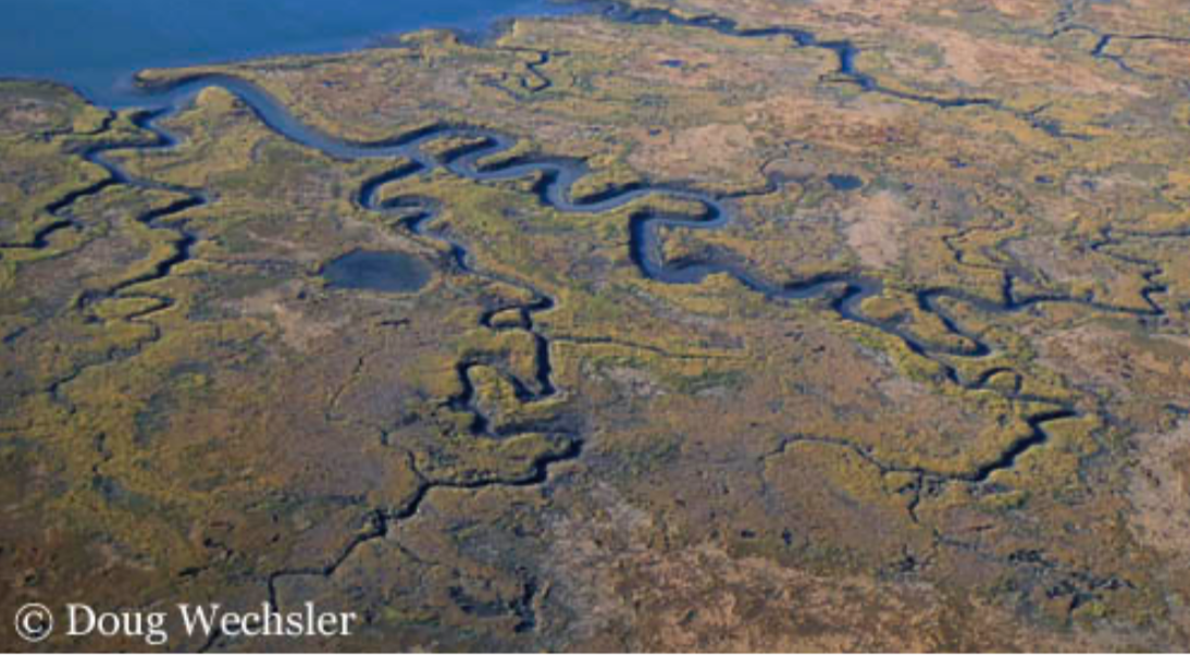 Aerial view of winding water channels and marshy wetlands in a landscape