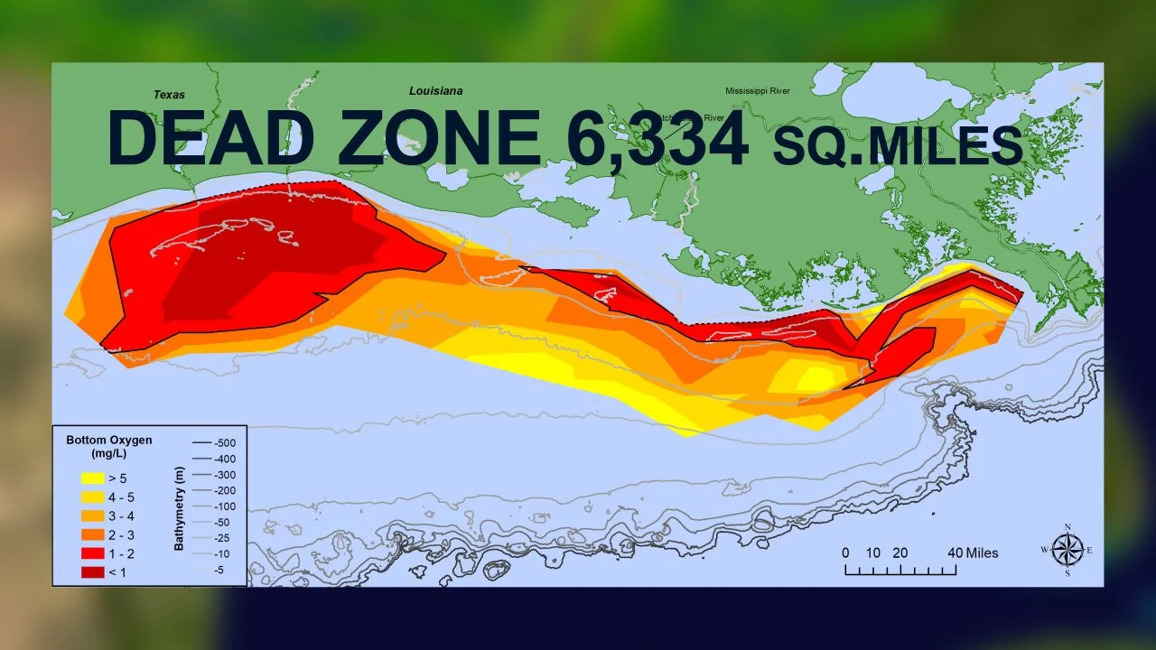 Map illustrating the extent of the Gulf of Mexico Dead Zone, covering 6,334 square miles, with color-coded areas indicating different levels of oxygen depletion in bottom water.