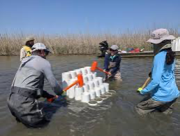 Four children and an adult playing in a shallow pond, stacking cups with plastic scoops and containers, surrounded by tall reeds under a clear blue sky.