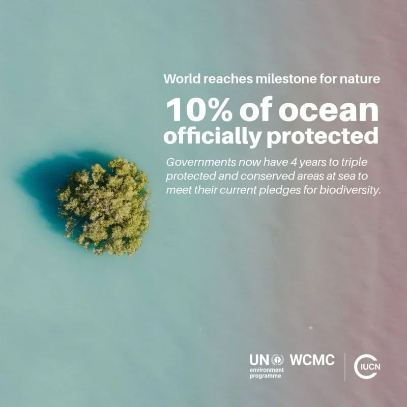 10% of OCean Prtected.jpg
