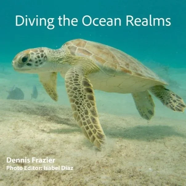 Diving the Ocean Realms (PDF)
