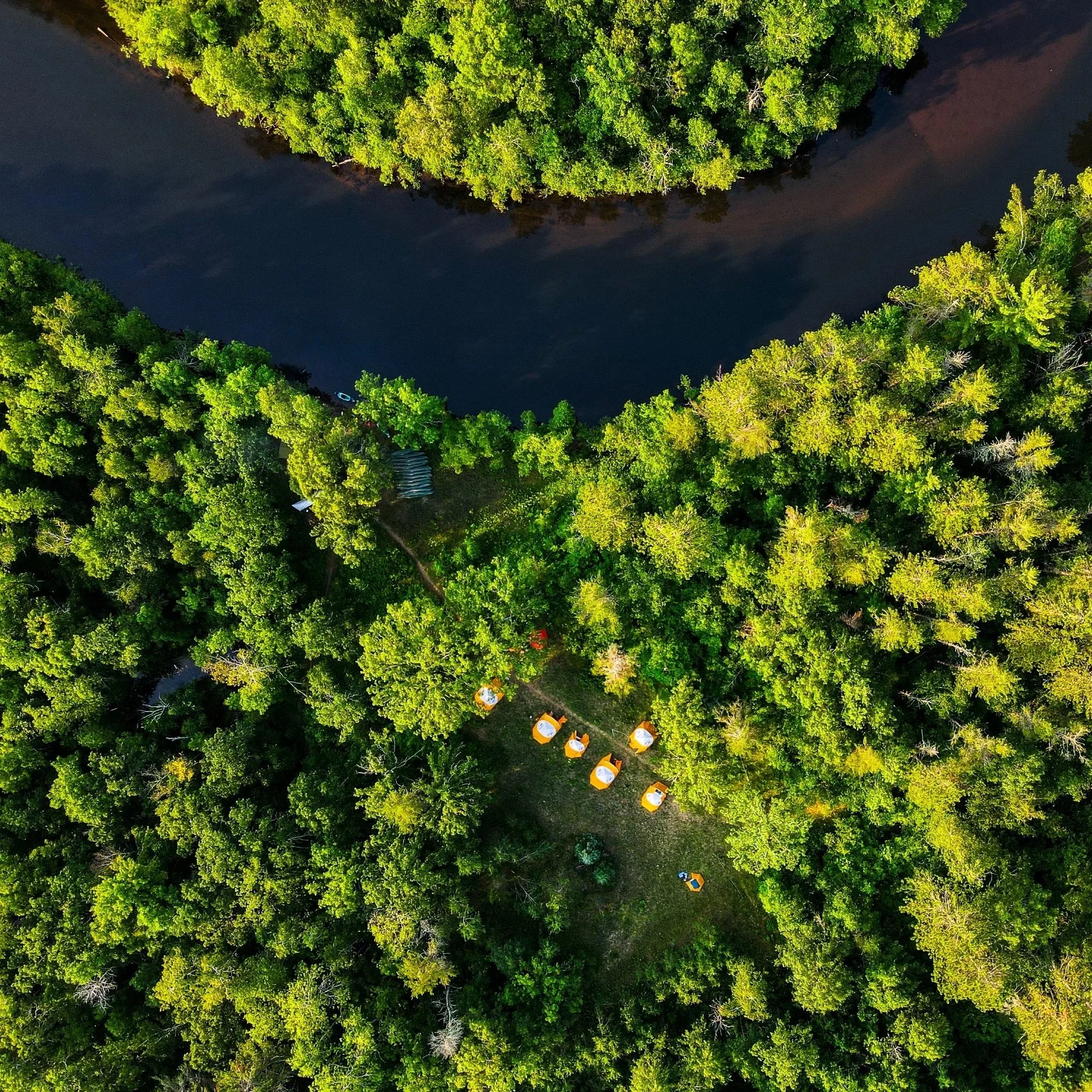 An aerial view of a dense forest near a dark river, with a small campsite featuring several yellow tents scattered among the trees.