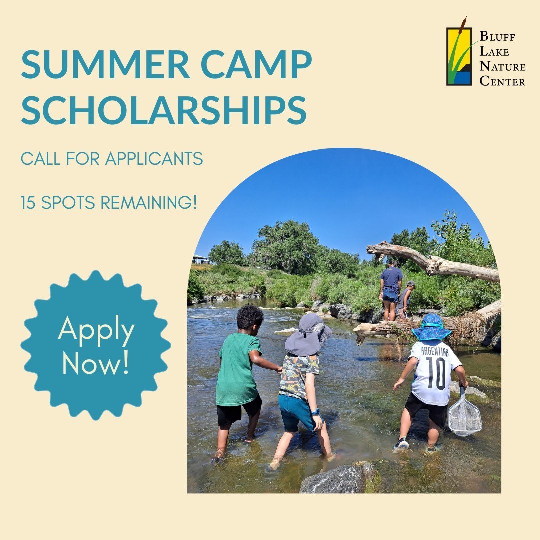 At Bluff Lake Nature Center, we are committed to offering scholarships for 25% of our summer camp spots. Our Carl Wells Scholarship Fund seeks to make sure that all students, regardless of socioeconomic background, can experience a week at our summer