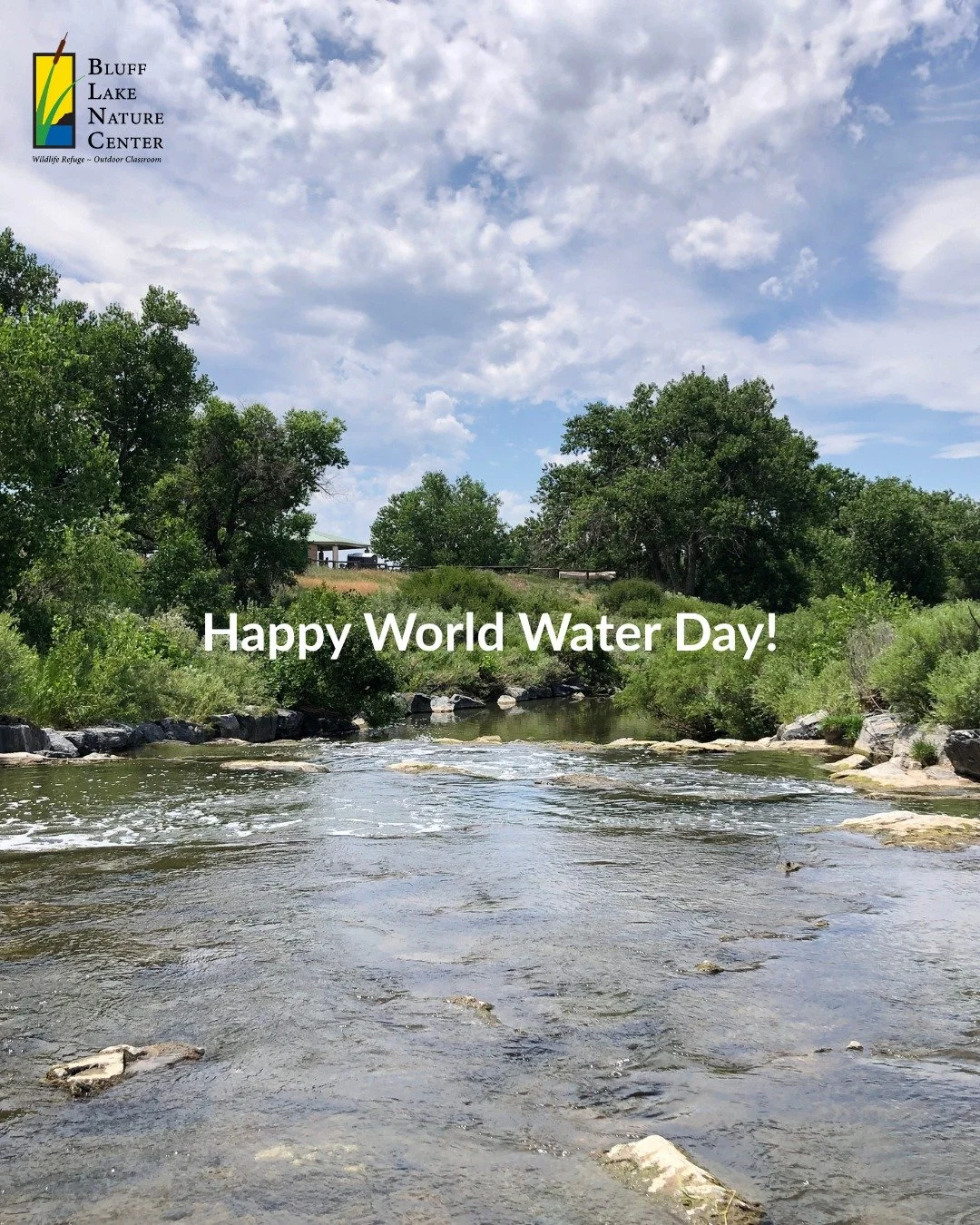 Bluff Lake wouldn't be Bluff Lake without water.💧 Today and every day, we're grateful for the water that makes Bluff Lake Nature Center a thriving ecosystem, and our community that helps to protect it! 💙

Bluff Lake no ser&iacute;a Bluff Lake sin a