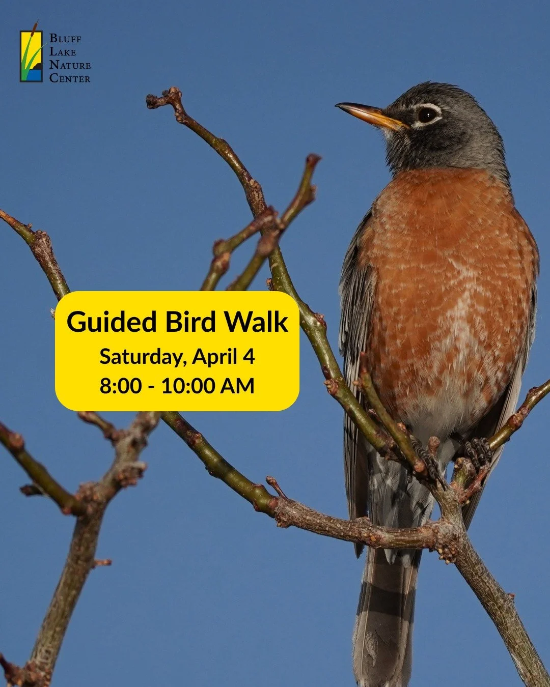 Join our birding experts on a walk around Bluff Lake this Saturday, April 4, from 8:00 - 10:00 AM. 🐦&zwj;⬛ This event is free, but registration is required. RSVP by following the link in our bio! See you there! 🐦✨💛

Acompa&ntilde;a a nuestros expe