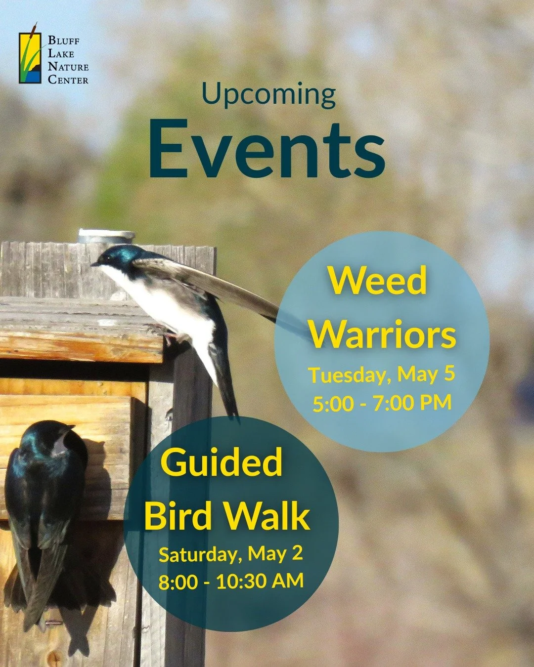We are excited to share two upcoming and FREE events at Bluff Lake Nature Center! 🌱💚 

🐦&zwj;⬛ Guided Bird Walk: Join our birding experts on a walk around Bluff Lake! These walks are for expert birders and newbies alike. We will meet at 8:00 AM on