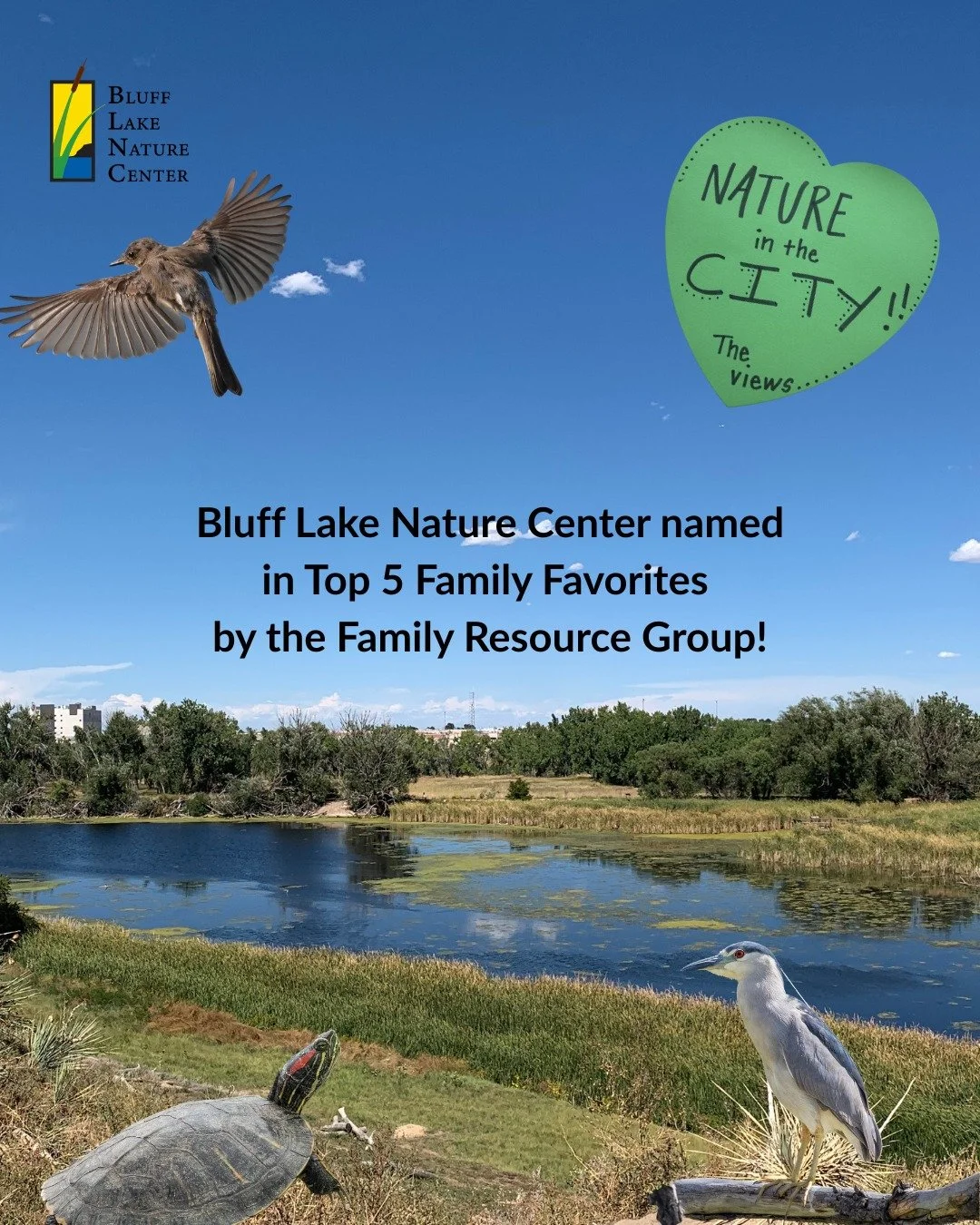 Thanks to our incredible community, Bluff Lake Nature Center has been named a Top 5 Family Favorite for 2026 by the Colorado Parent! ✨🫶 

Through thousands of nominations from local families and community members, Bluff Lake earned a spot among this