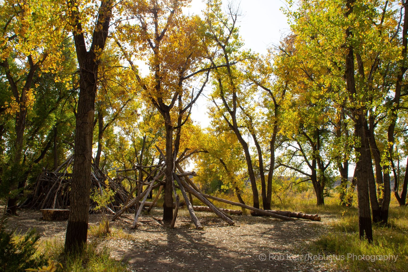 Bluff Lake Nature Center