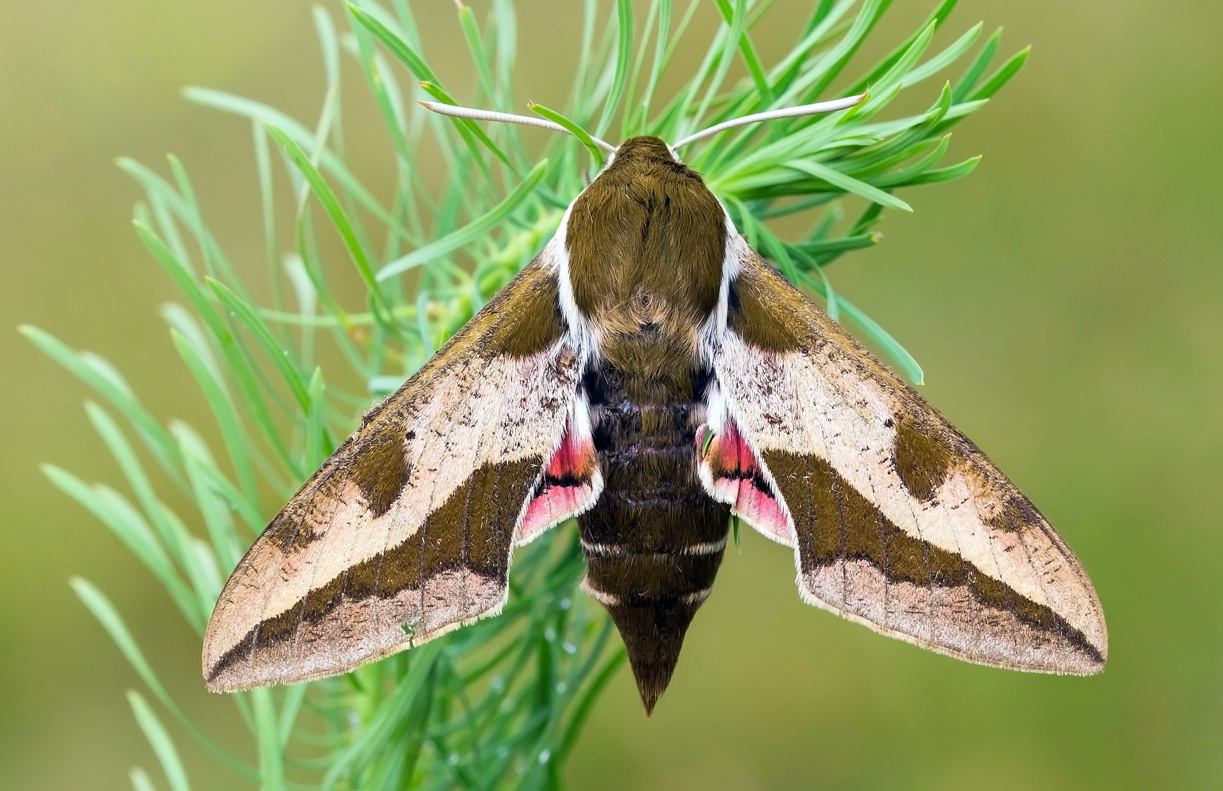 About 1 — Bluff Lake Nature Center