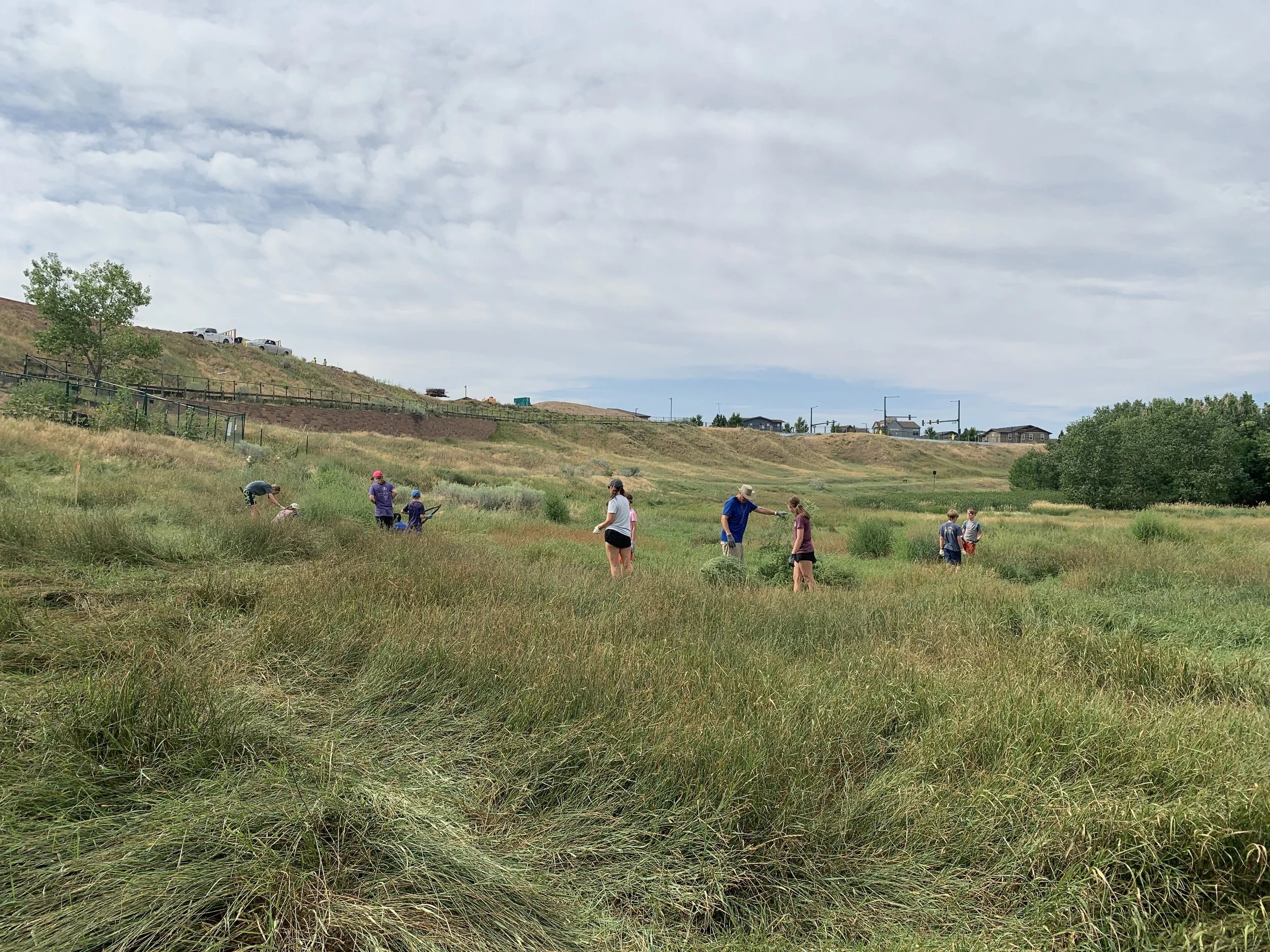 Montview Blvd Presbyterian Church Youth 2025